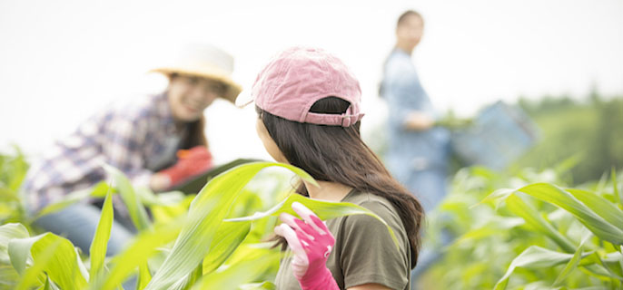 办公桌的秘密：从桌面风格看透16型人格特质