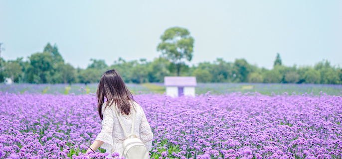 INFP告别孤独的成长指南