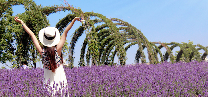 当INFP决定放下助人情节：毁灭吧，大慈大悲与加特林并不冲突